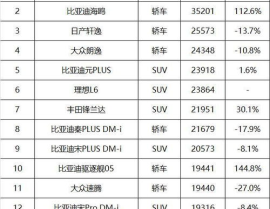 6月汽车销量,新能源车型崛起，传统车型竞争加剧