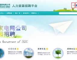 国家电网人力招聘平台官网,揭秘电力行业人才选拔新篇章