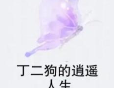 丁二狗小说全文免费阅读,丁二狗的奋斗传奇