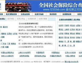 12333社保查询网官网,一站式社保信息查询平台全面解析